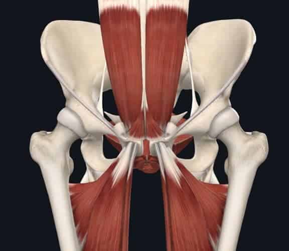 Cadenas musculares implicadas en la pubalgia del deportista. Clínica H3 Caamaño MAdrid